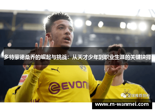 多特蒙德桑乔的崛起与挑战：从天才少年到职业生涯的关键抉择