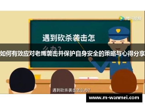 如何有效应对老鹰袭击并保护自身安全的策略与心得分享
