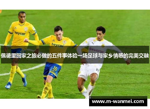 佩德里回家之旅必做的五件事体验一场足球与家乡情感的完美交融