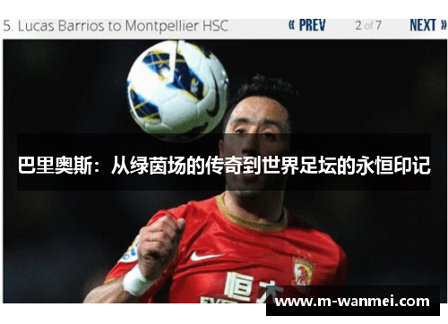 巴里奥斯：从绿茵场的传奇到世界足坛的永恒印记