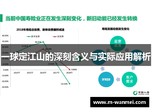 一球定江山的深刻含义与实际应用解析