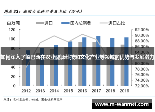 如何深入了解巴西在农业能源科技和文化产业等领域的优势与发展潜力